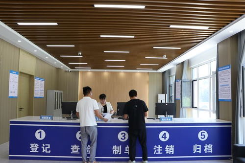 單縣北外環(huán)大型報廢機動車與舊家電拆解 廢棄電器電子產(chǎn)品處理廠掠影